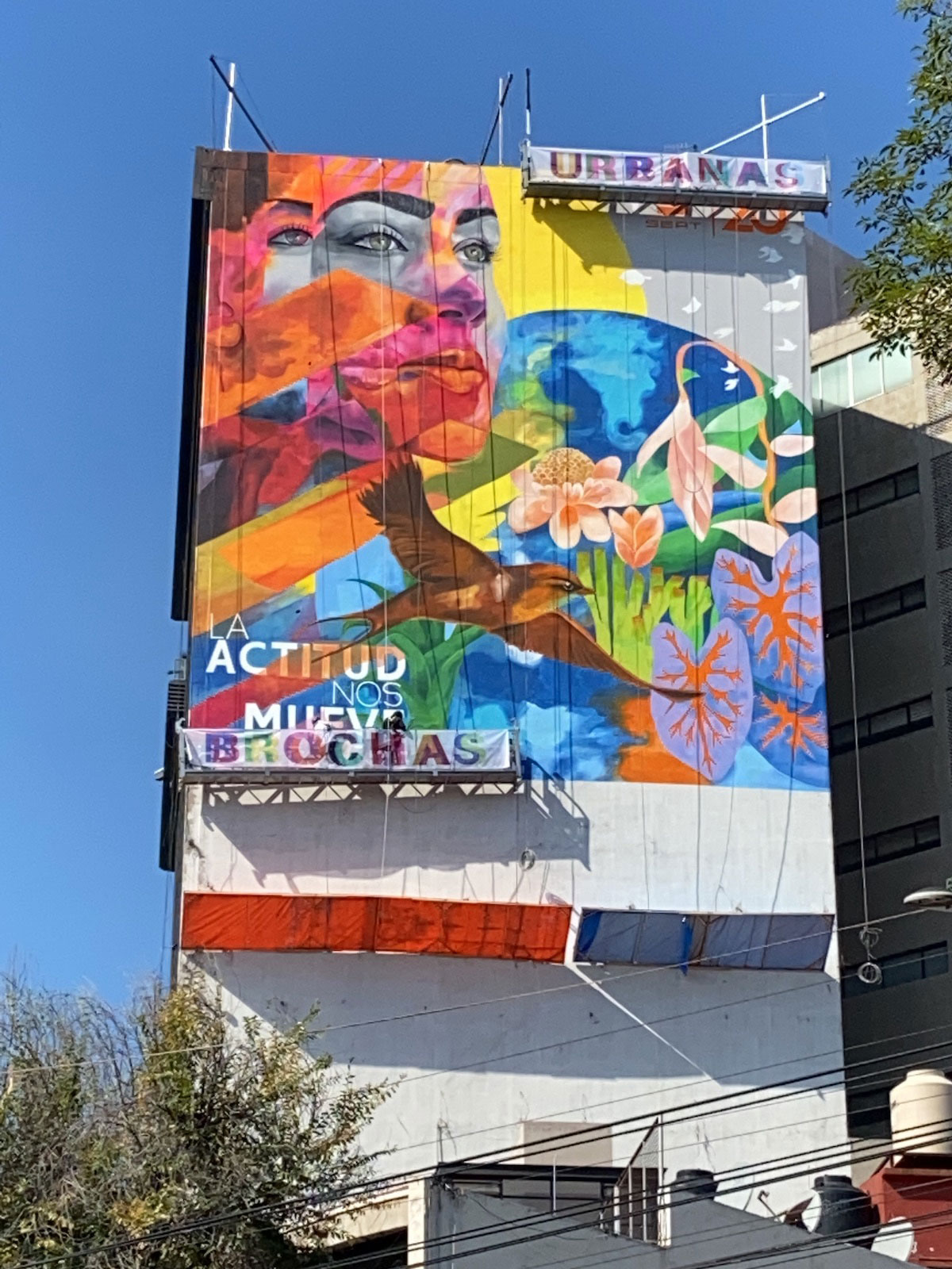 Seat + Record Guinness - Brochas Urbanas