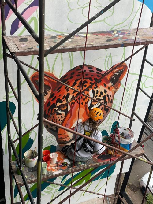 Colima - Brochas Urbanas